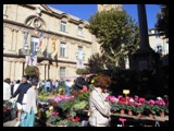 Market of City Hall